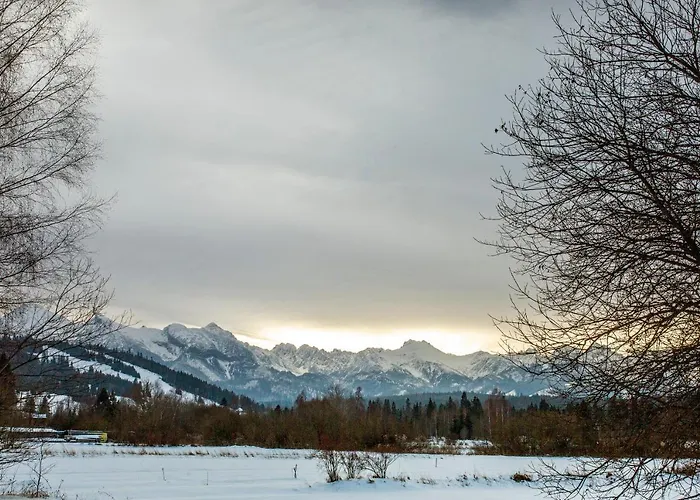 Domek alpejski W Górach U Misia Jurgów